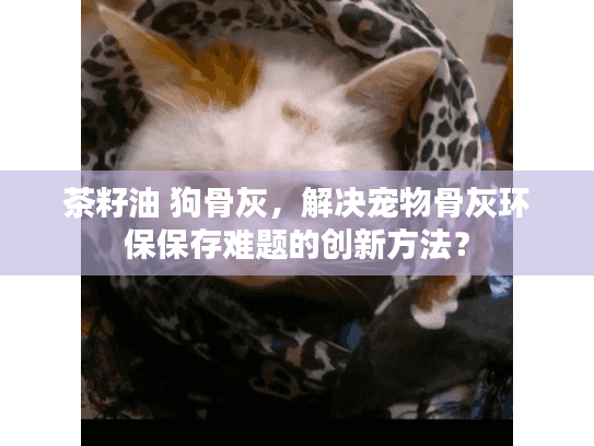 茶籽油 狗骨灰，解决宠物骨灰环保保存难题的创新方法？