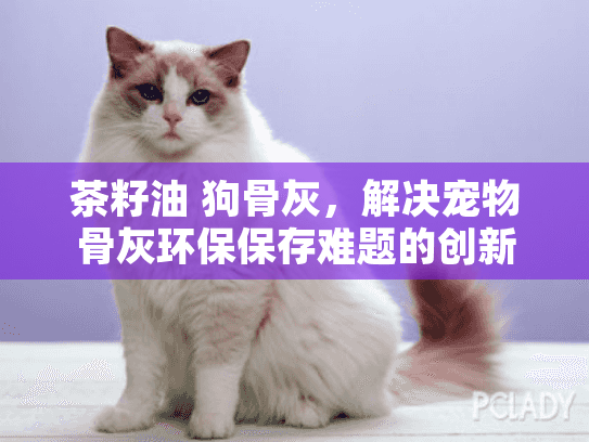 茶籽油 狗骨灰，解决宠物骨灰环保保存难题的创新方法？
