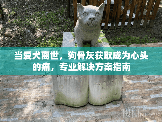 当爱犬离世，狗骨灰获取成为心头的痛，专业解决方案指南