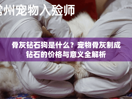 骨灰钻石狗是什么？宠物骨灰制成钻石的价格与意义全解析