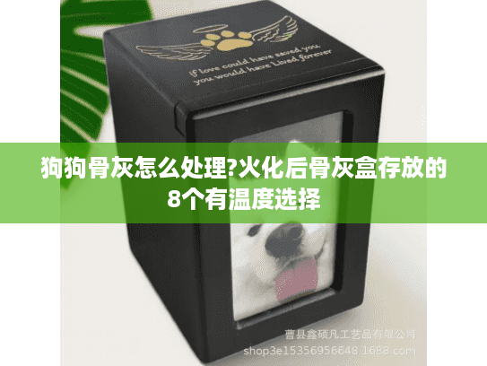 狗狗骨灰怎么处理?火化后骨灰盒存放的8个有温度选择