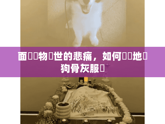 面對寵物離世的悲痛，如何專業地買狗骨灰服務