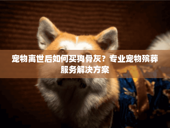 宠物离世后如何买狗骨灰？专业宠物殡葬服务解决方案