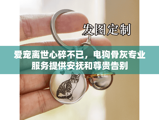 爱宠离世心碎不已，电狗骨灰专业服务提供安抚和尊贵告别
