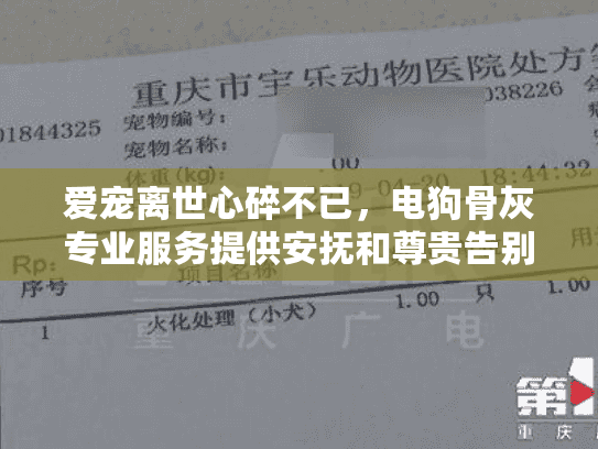 爱宠离世心碎不已，电狗骨灰专业服务提供安抚和尊贵告别
