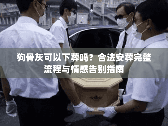 狗骨灰可以下葬吗？合法安葬完整流程与情感告别指南