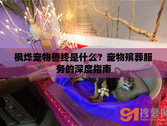 枫烨宠物善终是什么？宠物殡葬服务的深度指南