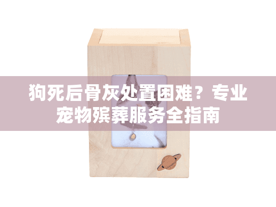 狗死后骨灰处置困难？专业宠物殡葬服务全指南