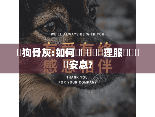 貓狗骨灰:如何選擇專業處理服務讓寶貝安息?