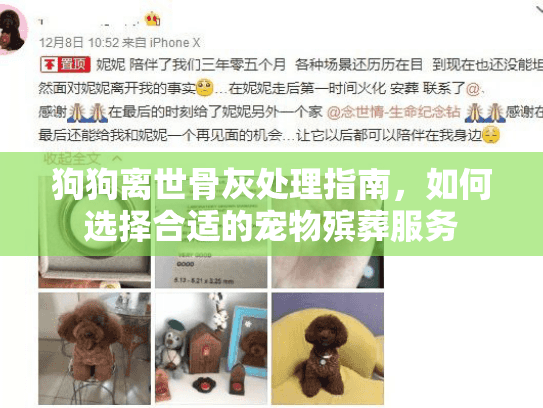 狗狗离世骨灰处理指南，如何选择合适的宠物殡葬服务