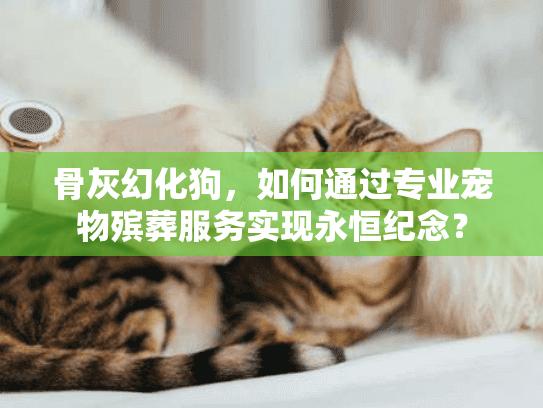 骨灰幻化狗，如何通过专业宠物殡葬服务实现永恒纪念？