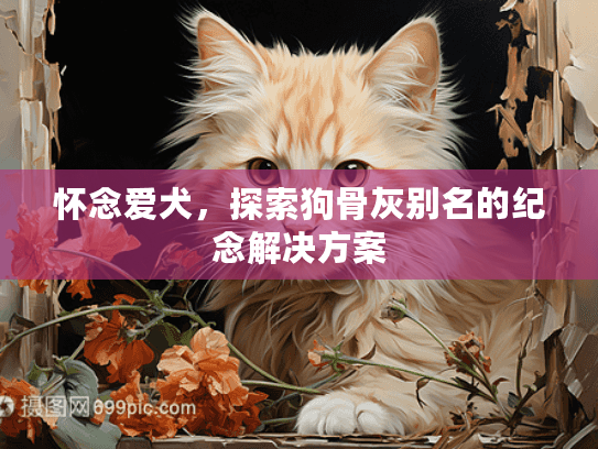 怀念爱犬，探索狗骨灰别名的纪念解决方案