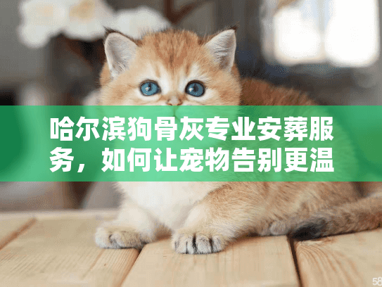 哈尔滨狗骨灰专业安葬服务，如何让宠物告别更温暖安心
