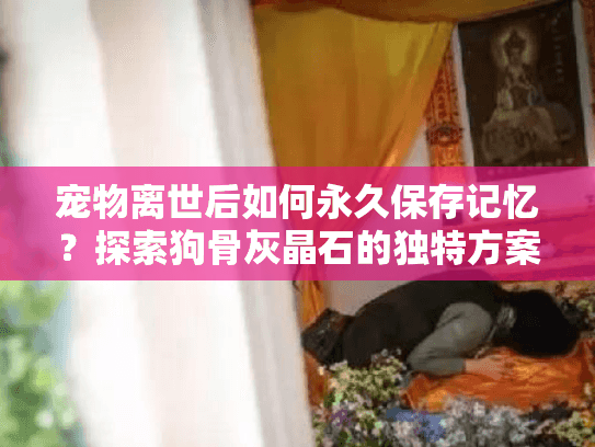 宠物离世后如何永久保存记忆？探索狗骨灰晶石的独特方案