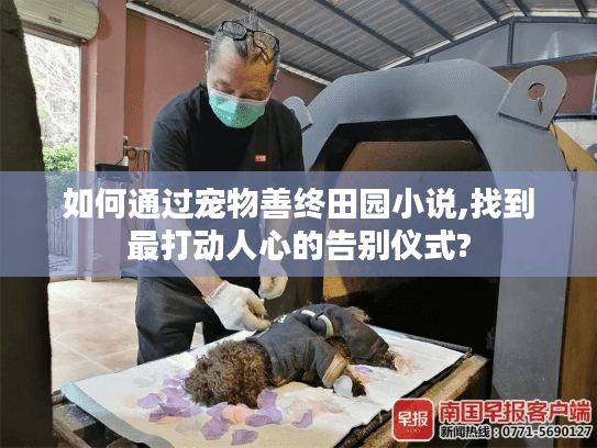 如何通过宠物善终田园小说,找到最打动人心的告别仪式?