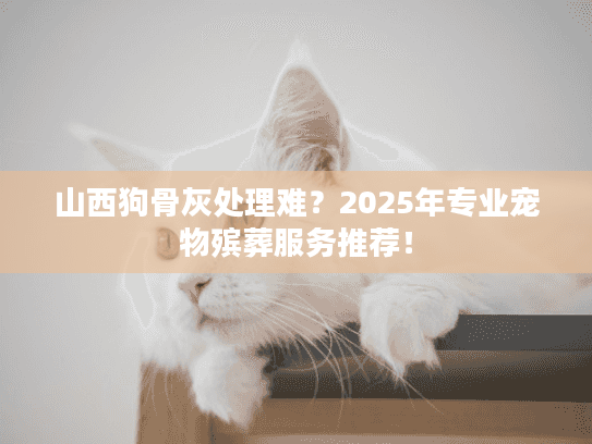 山西狗骨灰处理难？2025年专业宠物殡葬服务推荐！