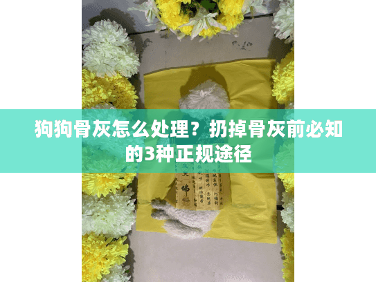 狗狗骨灰怎么处理？扔掉骨灰前必知的3种正规途径