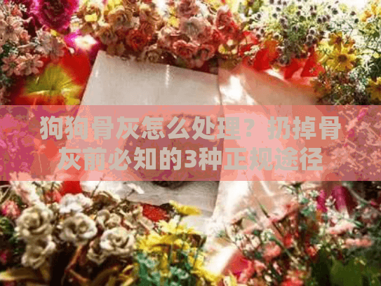 狗狗骨灰怎么处理？扔掉骨灰前必知的3种正规途径