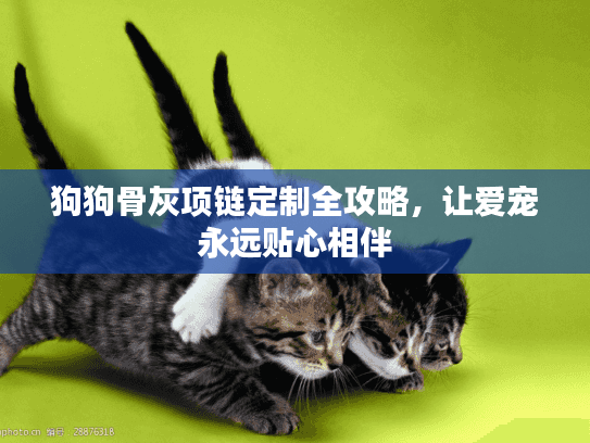 狗狗骨灰项链定制全攻略，让爱宠永远贴心相伴