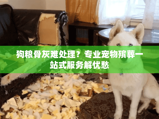 狗粮骨灰难处理？专业宠物殡葬一站式服务解忧愁