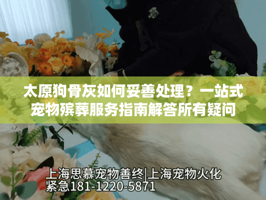 太原狗骨灰如何妥善处理？一站式宠物殡葬服务指南解答所有疑问