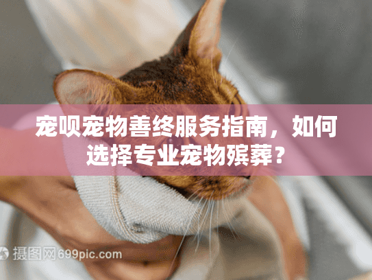 宠呗宠物善终服务指南，如何选择专业宠物殡葬？