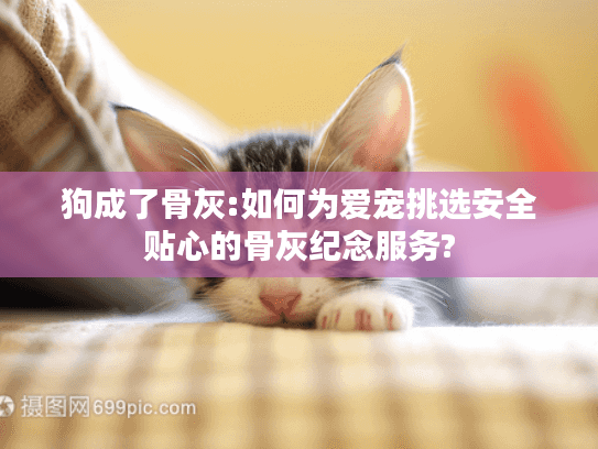 狗成了骨灰:如何为爱宠挑选安全贴心的骨灰纪念服务?