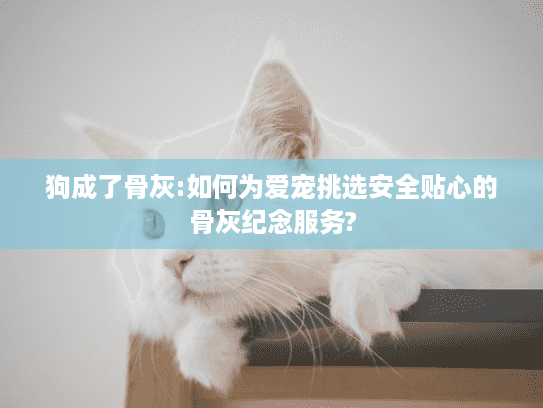 狗成了骨灰:如何为爱宠挑选安全贴心的骨灰纪念服务?