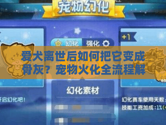 爱犬离世后如何把它变成骨灰？宠物火化全流程解析