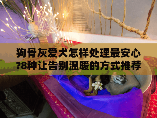 狗骨灰爱犬怎样处理最安心?8种让告别温暖的方式推荐