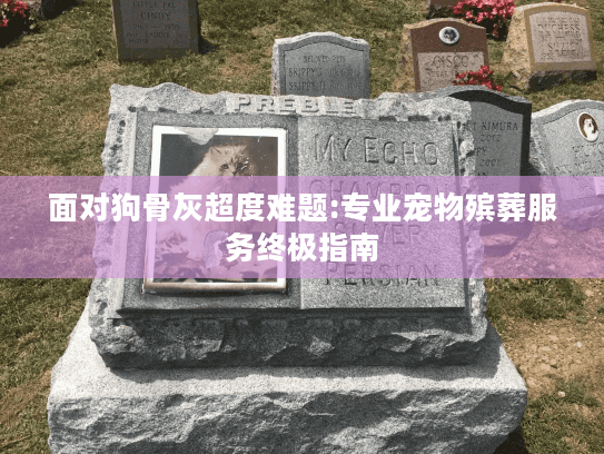 面对狗骨灰超度难题:专业宠物殡葬服务终极指南