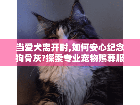 当爱犬离开时,如何安心纪念狗骨灰?探索专业宠物殡葬服务