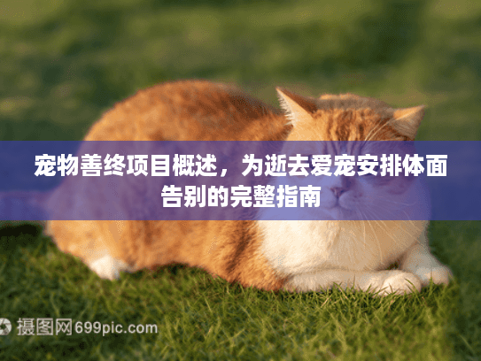 宠物善终项目概述，为逝去爱宠安排体面告别的完整指南