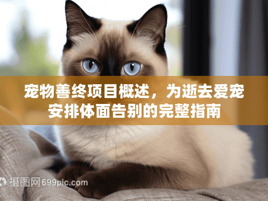 宠物善终项目概述,为逝去爱宠安排体面告别的完整指南
