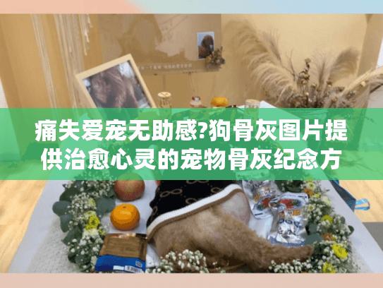 痛失爱宠无助感?狗骨灰图片提供治愈心灵的宠物骨灰纪念方案