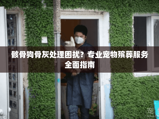 骸骨狗骨灰处理困扰？专业宠物殡葬服务全面指南