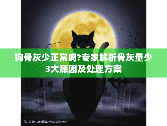 狗骨灰少正常吗?专家解析骨灰量少3大原因及处理方案