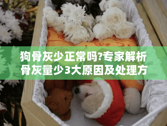 狗骨灰少正常吗?专家解析骨灰量少3大原因及处理方案