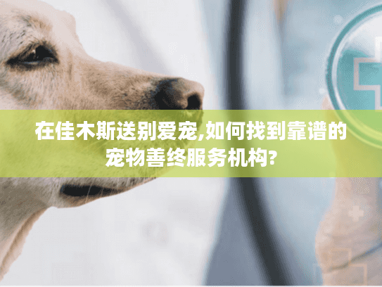 在佳木斯送别爱宠,如何找到靠谱的宠物善终服务机构?