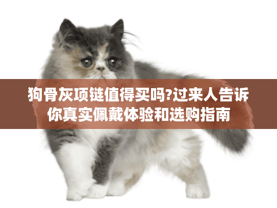 狗骨灰项链值得买吗?过来人告诉你真实佩戴体验和选购指南
