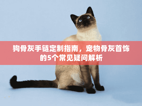 狗骨灰手链定制指南，宠物骨灰首饰的5个常见疑问解析