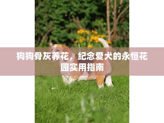 狗狗骨灰养花，纪念爱犬的永恒花园实用指南