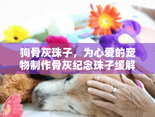 狗骨灰珠子，为心爱的宠物制作骨灰纪念珠子缓解悲伤之旅