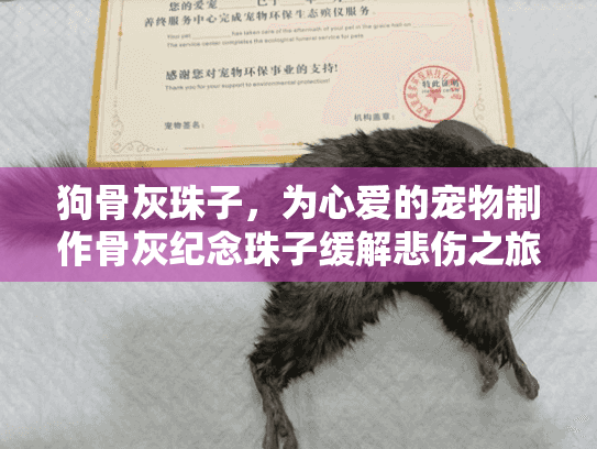 狗骨灰珠子，为心爱的宠物制作骨灰纪念珠子缓解悲伤之旅