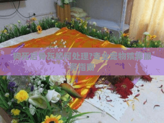 狗死后骨灰如何处理?专业宠物殡葬服务指南