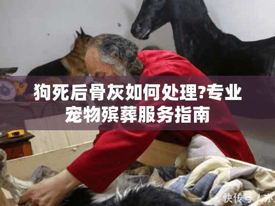 狗死后骨灰如何处理?专业宠物殡葬服务指南