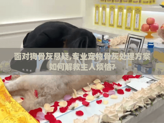 面对狗骨灰悬疑,专业宠物骨灰处理方案如何解救主人烦恼?