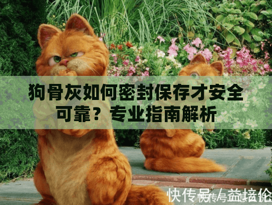 狗骨灰如何密封保存才安全可靠？专业指南解析