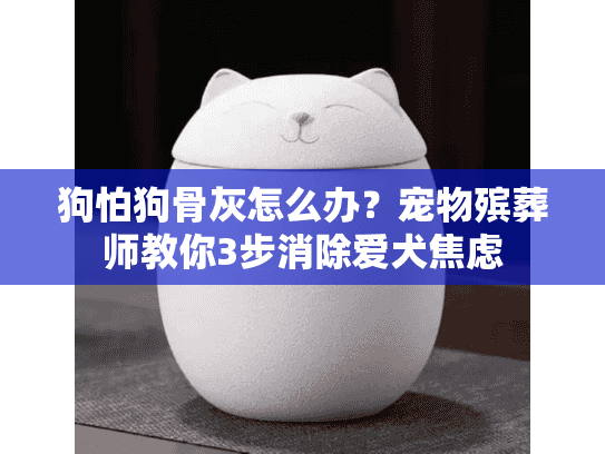 狗怕狗骨灰怎么办？宠物殡葬师教你3步消除爱犬焦虑
