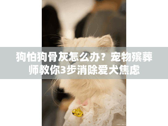狗怕狗骨灰怎么办？宠物殡葬师教你3步消除爱犬焦虑
